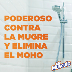 Limpiador de Baño Mr Músculo en Crema Citrus 450ml en internet
