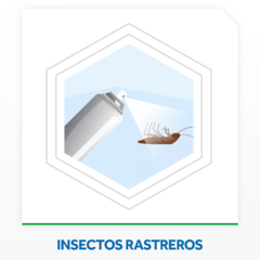 Insecticida Raid Mata Cucarachas y Arañas Sin Olor MAX en Aerosol 360cc - ChangoNet