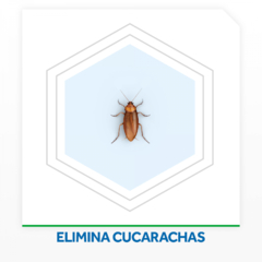 Insecticida Raid Mata Cucarachas y Arañas Sin Olor MAX en Aerosol 360cc - tienda online