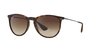 Ray Ban Erika