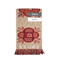 . Camino Emilia . - brums