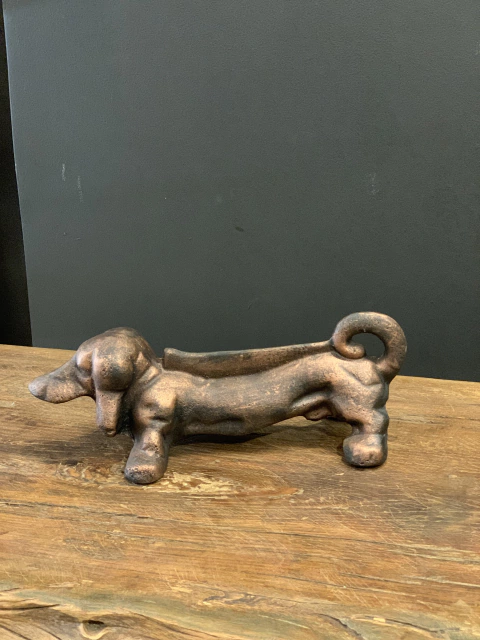 Perro Salchicha