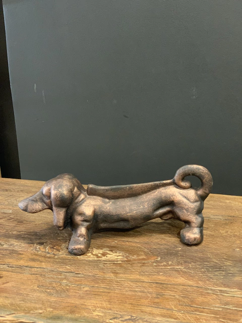 Perro Salchicha