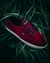 ZAPAS [ ALPHA BORDO ] ALL DAY