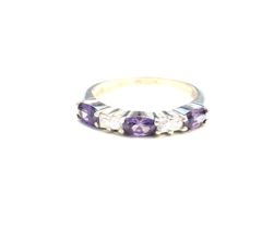 ANILLO PICTOR