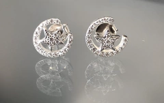 AROS STELLA