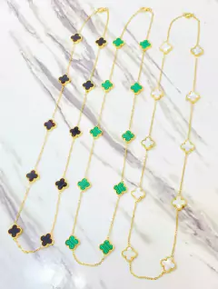 Collar Taylor