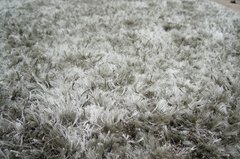 Alfombra de Pelo Largo Jannat J0030 - comprar online