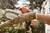 Mini Motosierra a Batería GTA 26 STIHL - comprar online