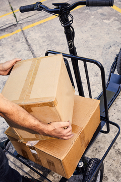 Frank Cargo - tienda online