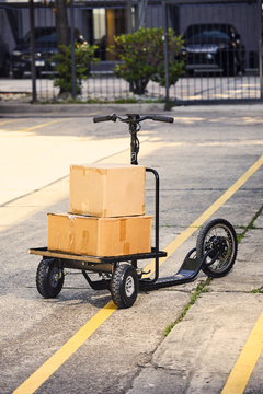 Frank E-Cargo - frankebikes