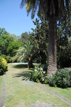 CASA EN VENTA LOTE DE 1000 MTS. INGENIERO MASCHWITZ - comprar online
