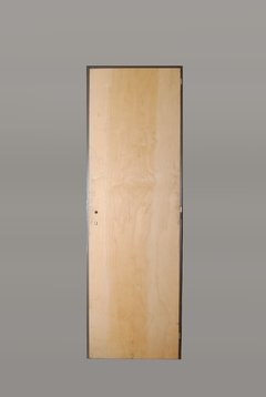 Puerta Placa Pino - comprar online