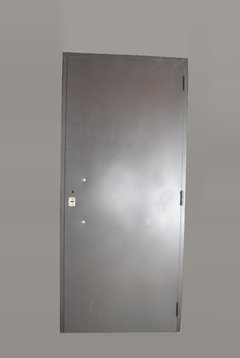 Puerta doble chapa inyectada con aplique de Acero Inoxidable - comprar online