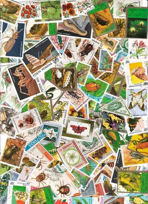Colección Universal de 50 estampillas del tema INSECTOS