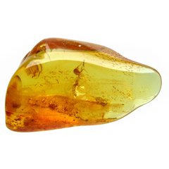 Ámbar