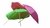 Sombrilla Playa 1.8m + Carpa Playera Jardin Ultra Liviana - Virtualshopbaires