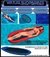 Colchoneta Inflable Intex Red Humeda Aro Mas Inflador