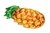 Colchoneta Inflable Besteway Anana + Sandia + Inflador Pilet en internet