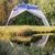 Carpa Gazebo Plegable Paredes Mosquitero 4x3 Mts Linterna 9 - comprar online