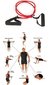 Rueda Abdominal Ejercitador Abdominal + Mini Alfombra + Banda Entrenaminetos Funcional Crossfit Gimnasio Fitness