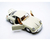Auto Burago Porsche 356b Coupe 1961 Escala 1/24 - comprar online