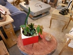Mesa Rodaja en internet