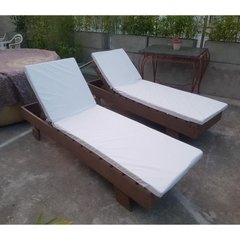 Reposera con Colchoneta