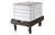 Caja Bollos de Pizza 46 x 66 x 15 cm - NBS Bazar Profesional - Equipamiento Gastronómico