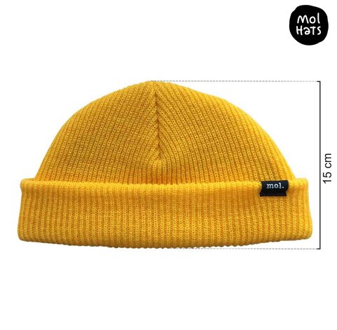 Gorro de Lana (Beanie) Corto Nº2