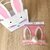 COMBO PASCUAS 1 Set disfraz conejo + 1Bolsas de orejas en internet