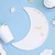 PLATOS LUNA