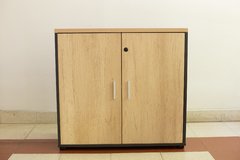 Armario con puertas