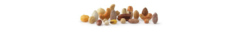Banner de la categoría FRUTOS SECOS