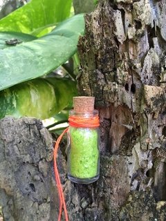 Bioglitter Verde que te quero - comprar online