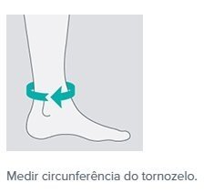 Tornozeleira Conchas - comprar online
