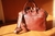 Valencia Laptop Bag/ bolso Valencia