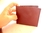 Surprise wallet