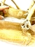 Imagen de Soft crocodile bag