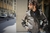 Pilots bomber jacket- Aviator original full version/ Aviadora bomber version full - comprar online