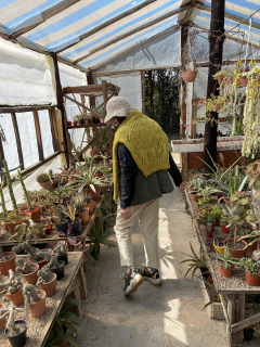 Sweater “Vegetal “