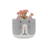 PLANTA GATITO 4 MODELOS