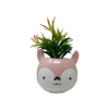 PLANTA CONEJO GRANDE 4 MODELOS