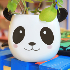 MACETITA OSO PANDA - comprar online