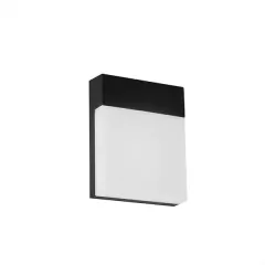Aplique Toicho-LEK - comprar online