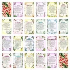 Oráculo de las Flores de Bach Premium en internet