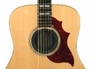 Daddario Planet Waves Pw-sh-01 Tapa Antiacople P/ Guit Acustica en internet
