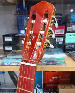 Radalj Guitarra Criolla 4/4 Color Verde + Funda Cubrepolvo en internet