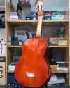 Radalj Guitarra Criolla 4/4 Color Verde + Funda Cubrepolvo - EdenLP Instrumentos Musicales
