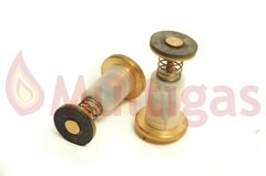 UNIDAD MAGNETICA CALEFON LONGVIE